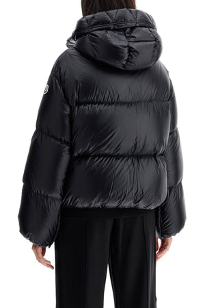 Áo Khoác Puffer Mini Cổ Cao