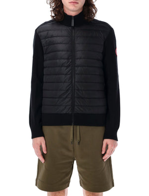 CANADA GOOSE Men's Black Knit Down Jacket with Quilted Front and Perforated Knit Sleeves
