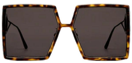 DIOR Bronze Injected Sunglasses for Men