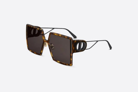 DIOR Bronze Injected Sunglasses for Men