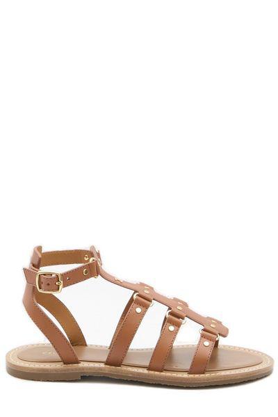 CELINE Brown Gladiator Sandals with Gold-tone Studs and Adjustable Ankle Strap