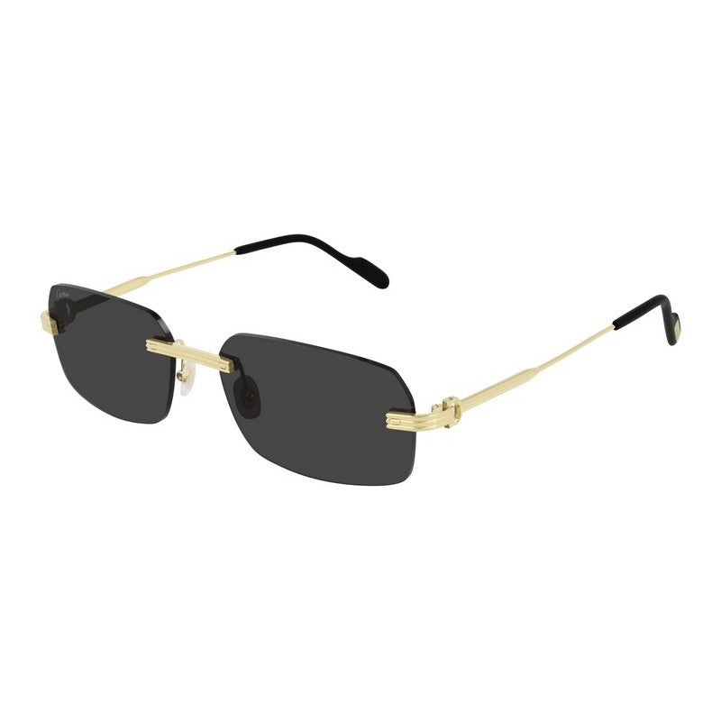 CARTIER Luxurious Gold Sunglasses for Men