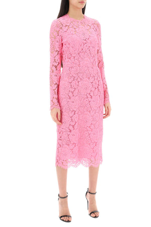 DOLCE & GABBANA Floral Corded Lace Midi Dress in Pink for Women