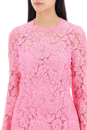 DOLCE & GABBANA Floral Corded Lace Midi Dress in Pink for Women