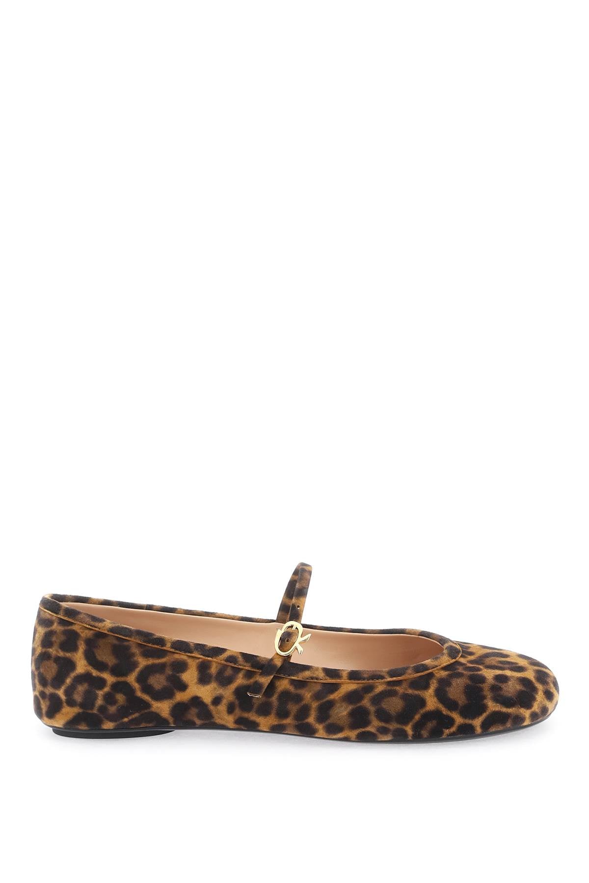 GIANVITO ROSSI Leopard Suede Ballet Flats with Iconic Ribbon Buckle for Women