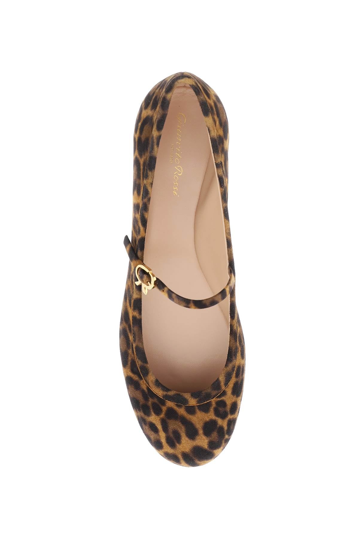 GIANVITO ROSSI Leopard Suede Ballet Flats with Iconic Ribbon Buckle for Women